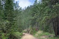 Black Hills Mickelson Trail Bicycling Tour thumbnail 6