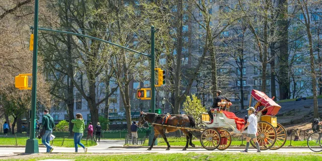 New York City Central Park Horse Carriage Ride - Image 3