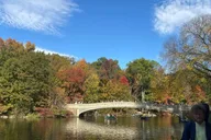 New York City Central Park Pedicab Tour thumbnail 2