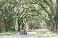 Savannah Historic Tour in a Vintage Citroën 90 min thumbnail 1