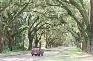 Savannah Historic Tour in a Vintage Citroën 90 min