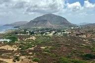 Oahu Private Community Service Voluntourism thumbnail 5