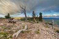 Yellowstone Bunsen Peak Loop Naturalist Hike thumbnail 5