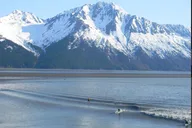 Seward to Anchorage Private Tour and Cruise Transfer thumbnail 4