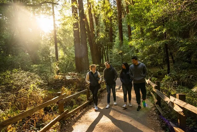 San Francisco Muir Woods Shuttle Tour - Image 1