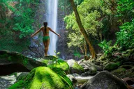 Kauai Wailua River Kayak and Sacred Falls Hike thumbnail 2