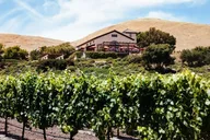 San Francisco Russian River Wine Tour by XL SUV thumbnail 5
