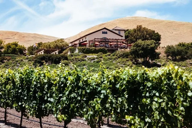 San Francisco Russian River Wine Tour by XL SUV - Image 5