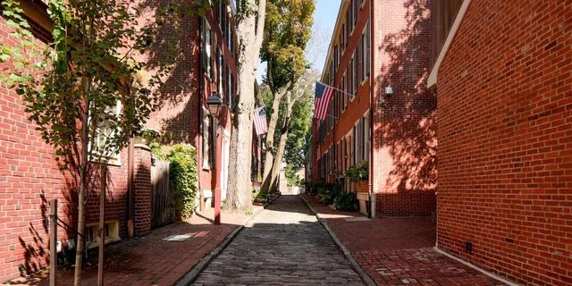 Philadelphia Walking Tour Society Hill and Old City 1.5 hr - Image 3