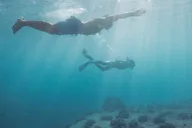 Honolulu Kayak, Snorkel, and Surf with Turtles thumbnail 4