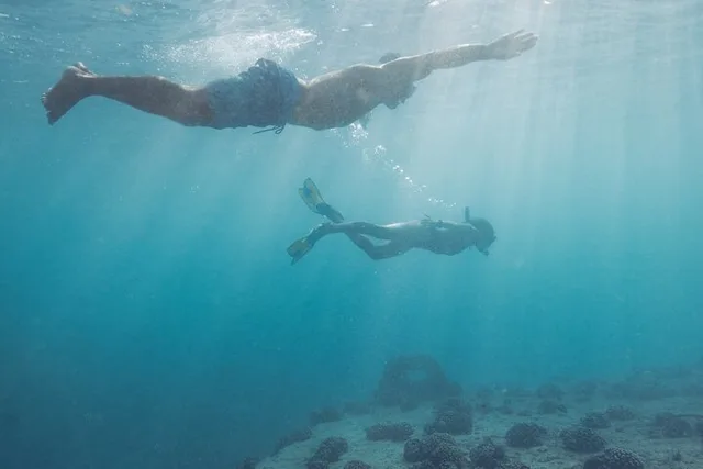 Honolulu Kayak, Snorkel, and Surf with Turtles - Image 4
