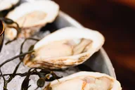 New York City Oyster Shucking Class with Drinks thumbnail 6