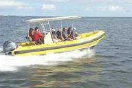Miami Speedboat and Banana Tubing Experience thumbnail 5