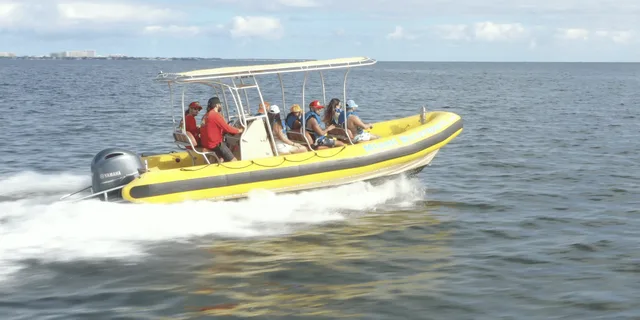 Miami Speedboat and Banana Tubing Experience - Image 5