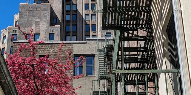 New York City Hidden Gems Tour - Image 4