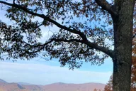 Pigeon Forge Smokies Adventure Loop Guided Tour 2.5 hr thumbnail 5