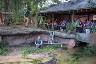 New Orleans Audubon Zoo Ticket thumbnail 6