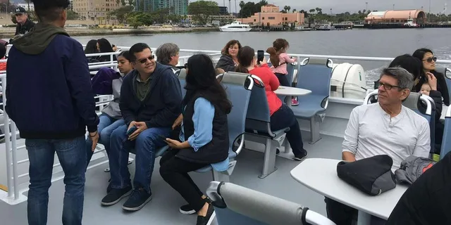 San Pedro Whale and Dolphin Watching Cruise - Image 5