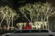 Brooklyn Christmas Limousine Tour thumbnail 5