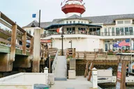Hilton Head Sunset Dolphin Cruise thumbnail 4