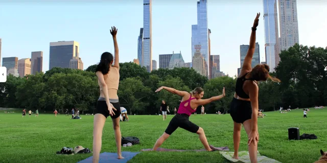 New York City Central Park Yoga Class - Image 1