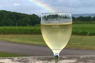 Traverse City Wine Tour on Old Mission Peninsula thumbnail 6