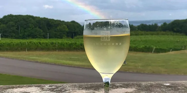 Traverse City Wine Tour on Old Mission Peninsula - Image 6