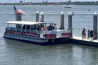 St. Augustine Dolphin Sightseeing Tour 1.5 hr thumbnail 4
