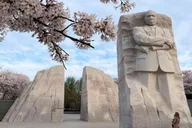 Washington Monuments Tour thumbnail 3