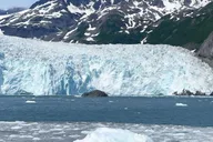 Anchorage Turnagain Arm Tour thumbnail 5