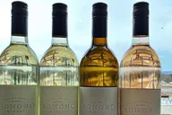 Traverse City Wine Tour on Old Mission Peninsula thumbnail 4