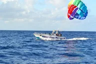 Honolulu Parasailing Adventure 1 hr thumbnail 2