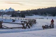 Jackson Hole Dogsledding Tour with Hot Chocolate thumbnail 5