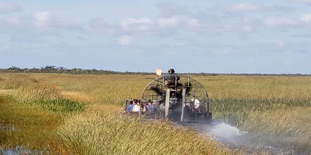 Miami Everglades Airboat Tour - Image 2