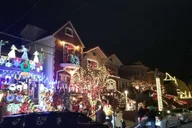 Brooklyn Christmas Lights Tour Dyker Heights 4 hr thumbnail 2