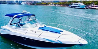 Miami Yacht Cruise Biscayne Bay and Sandbar 4 hr