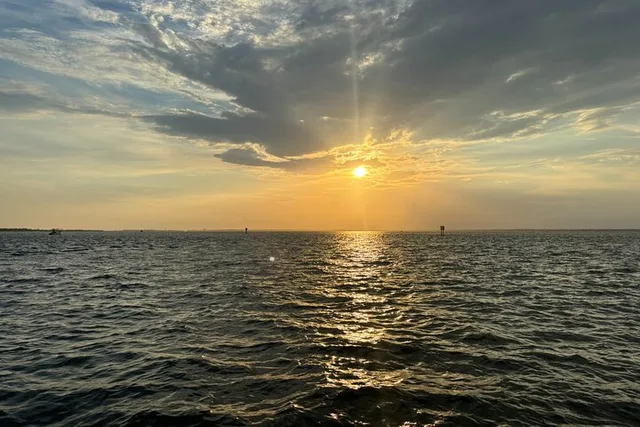 Destin Dolphin Watching Tour at Sunset - Image 2
