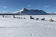 Fairbanks Dogsledding Adventure thumbnail 2