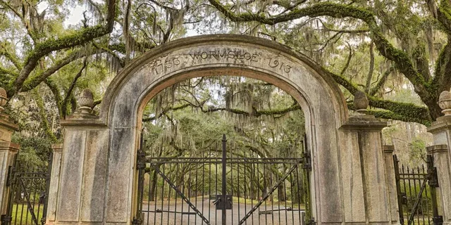 Savannah Cemetery and Historic Site Tour - Image 1