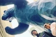 Denver E-bike Guided Tour thumbnail 6