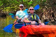 Bonita Springs Kayak Self-Guided Island EcoTour thumbnail 6