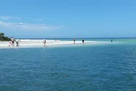 Everglades Wildlife Eco Tour thumbnail 1