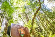 San Francisco Muir Woods and Sausalito Tour thumbnail 2
