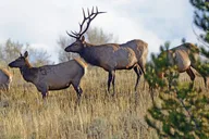 Grand Teton National Park Sundowner Dinner Experience thumbnail 5