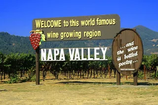 San Francisco Private Wine Tour to Napa or Sonoma
