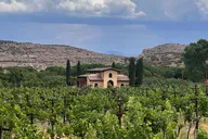 Sedona Wine Tasting Experience at Alcantara Estate thumbnail 4