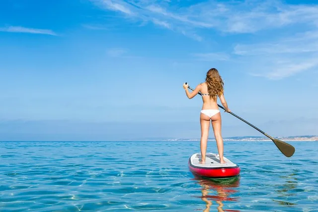 Miami Beach Paddle Board Rental - Image 3