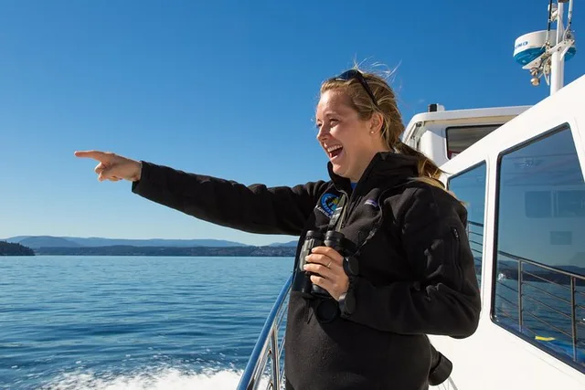 Friday Harbor Whale Watching Tour - Image 4