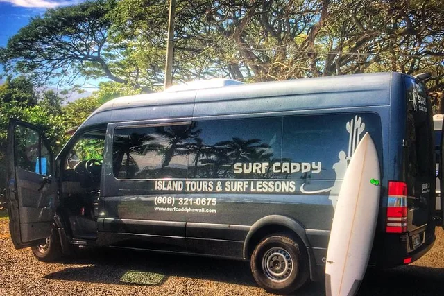 Hawaii Surf Lessons Paddle Assisted 60 min - Image 3