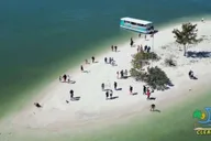Clearwater Beach Dolphin and Island Sandbar Cruise thumbnail 1